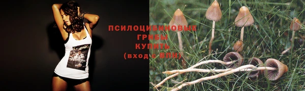 гидра Верхнеуральск