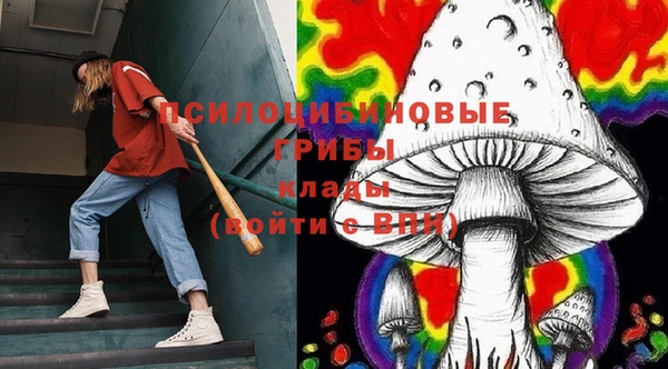 spice Пестово