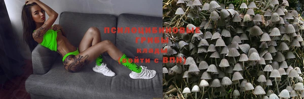 герыч Верхний Тагил