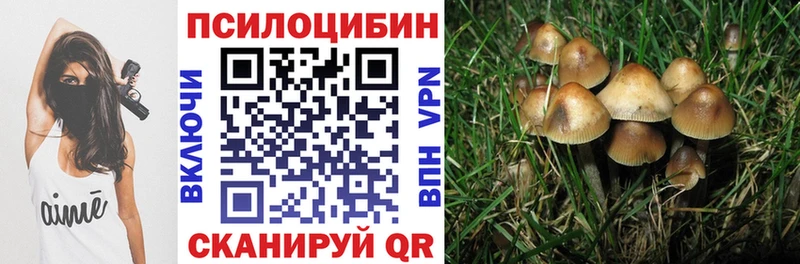 Галлюциногенные грибы Magic Shrooms  Воркута 